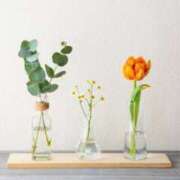 ヒメ日記 2024/12/26 16:33 投稿 紗奈(さな) グランドオペラ福岡