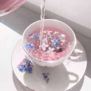 ヒメ日記 2025/02/13 15:36 投稿 紗奈(さな) グランドオペラ福岡