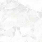 ヒメ日記 2025/02/14 16:26 投稿 紗奈(さな) グランドオペラ福岡