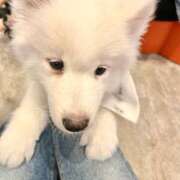 ヒメ日記 2025/02/17 12:31 投稿 紗奈(さな) グランドオペラ福岡