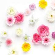 ヒメ日記 2025/02/28 13:53 投稿 紗奈(さな) グランドオペラ福岡