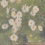 ヒメ日記 2025/03/10 14:45 投稿 紗奈(さな) グランドオペラ福岡