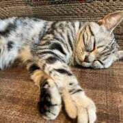 ヒメ日記 2025/03/12 08:58 投稿 紗奈(さな) グランドオペラ福岡