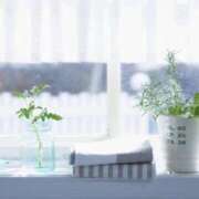 ヒメ日記 2025/03/21 11:11 投稿 紗奈(さな) グランドオペラ福岡