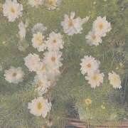 ヒメ日記 2025/03/24 11:20 投稿 紗奈(さな) グランドオペラ福岡