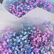 ヒメ日記 2025/03/25 15:03 投稿 紗奈(さな) グランドオペラ福岡