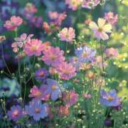 ヒメ日記 2025/03/28 14:11 投稿 紗奈(さな) グランドオペラ福岡