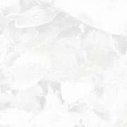 ヒメ日記 2025/03/31 09:15 投稿 紗奈(さな) グランドオペラ福岡