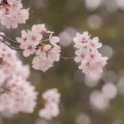 ヒメ日記 2025/04/01 23:43 投稿 紗奈(さな) グランドオペラ福岡