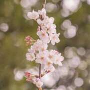 ヒメ日記 2025/04/03 23:32 投稿 紗奈(さな) グランドオペラ福岡