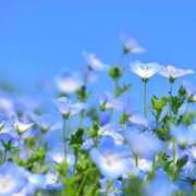 ヒメ日記 2025/04/07 13:01 投稿 紗奈(さな) グランドオペラ福岡