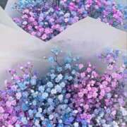 ヒメ日記 2025/04/08 11:03 投稿 紗奈(さな) グランドオペラ福岡