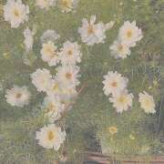 ヒメ日記 2025/04/10 15:21 投稿 紗奈(さな) グランドオペラ福岡