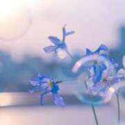 ヒメ日記 2025/04/10 16:21 投稿 紗奈(さな) グランドオペラ福岡