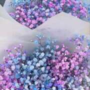 ヒメ日記 2025/04/16 22:34 投稿 紗奈(さな) グランドオペラ福岡