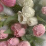 ヒメ日記 2025/04/17 15:45 投稿 紗奈(さな) グランドオペラ福岡