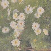 ヒメ日記 2025/04/22 13:01 投稿 紗奈(さな) グランドオペラ福岡