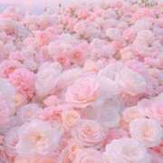 ヒメ日記 2025/05/07 08:50 投稿 紗奈(さな) グランドオペラ福岡