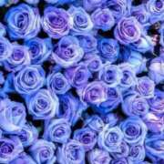 ヒメ日記 2025/05/09 13:24 投稿 紗奈(さな) グランドオペラ福岡