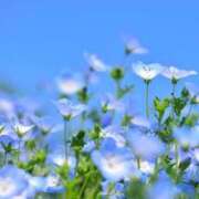 ヒメ日記 2025/05/14 13:21 投稿 紗奈(さな) グランドオペラ福岡