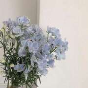 ヒメ日記 2025/05/15 13:43 投稿 紗奈(さな) グランドオペラ福岡