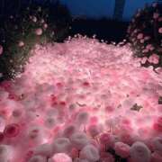 ヒメ日記 2025/05/16 00:25 投稿 紗奈(さな) グランドオペラ福岡