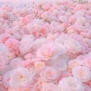 ヒメ日記 2025/05/19 11:16 投稿 紗奈(さな) グランドオペラ福岡