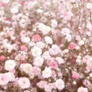 ヒメ日記 2025/05/19 15:51 投稿 紗奈(さな) グランドオペラ福岡