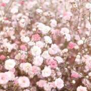 ヒメ日記 2025/05/20 16:25 投稿 紗奈(さな) グランドオペラ福岡