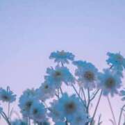 ヒメ日記 2025/06/03 23:51 投稿 紗奈(さな) グランドオペラ福岡