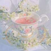 ヒメ日記 2025/06/06 11:02 投稿 紗奈(さな) グランドオペラ福岡