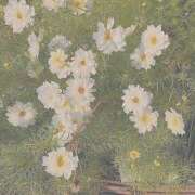 ヒメ日記 2025/06/06 13:23 投稿 紗奈(さな) グランドオペラ福岡