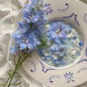 ヒメ日記 2025/06/06 15:04 投稿 紗奈(さな) グランドオペラ福岡