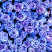 ヒメ日記 2025/06/07 14:54 投稿 紗奈(さな) グランドオペラ福岡