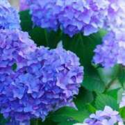 ヒメ日記 2025/06/09 11:09 投稿 紗奈(さな) グランドオペラ福岡