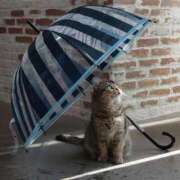 ヒメ日記 2025/06/09 16:24 投稿 紗奈(さな) グランドオペラ福岡