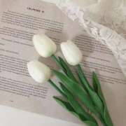 ヒメ日記 2025/06/14 13:23 投稿 紗奈(さな) グランドオペラ福岡