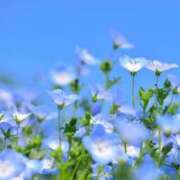 ヒメ日記 2025/06/20 08:41 投稿 紗奈(さな) グランドオペラ福岡