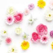 ヒメ日記 2025/07/03 23:11 投稿 紗奈(さな) グランドオペラ福岡