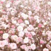 ヒメ日記 2025/07/07 11:08 投稿 紗奈(さな) グランドオペラ福岡