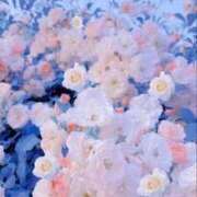 ヒメ日記 2025/07/08 13:41 投稿 紗奈(さな) グランドオペラ福岡