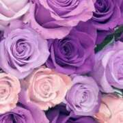 ヒメ日記 2025/07/10 11:06 投稿 紗奈(さな) グランドオペラ福岡