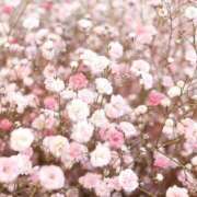 ヒメ日記 2025/07/15 11:01 投稿 紗奈(さな) グランドオペラ福岡