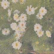 ヒメ日記 2025/07/15 14:41 投稿 紗奈(さな) グランドオペラ福岡