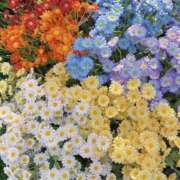 ヒメ日記 2025/07/17 10:04 投稿 紗奈(さな) グランドオペラ福岡