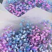 ヒメ日記 2025/07/17 12:41 投稿 紗奈(さな) グランドオペラ福岡