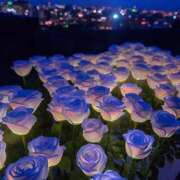 ヒメ日記 2025/07/26 23:56 投稿 紗奈(さな) グランドオペラ福岡