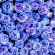 ヒメ日記 2025/07/28 13:00 投稿 紗奈(さな) グランドオペラ福岡