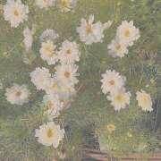 ヒメ日記 2025/07/29 13:21 投稿 紗奈(さな) グランドオペラ福岡