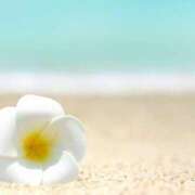 ヒメ日記 2025/07/31 11:02 投稿 紗奈(さな) グランドオペラ福岡